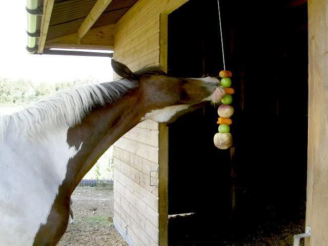 doener veggie
